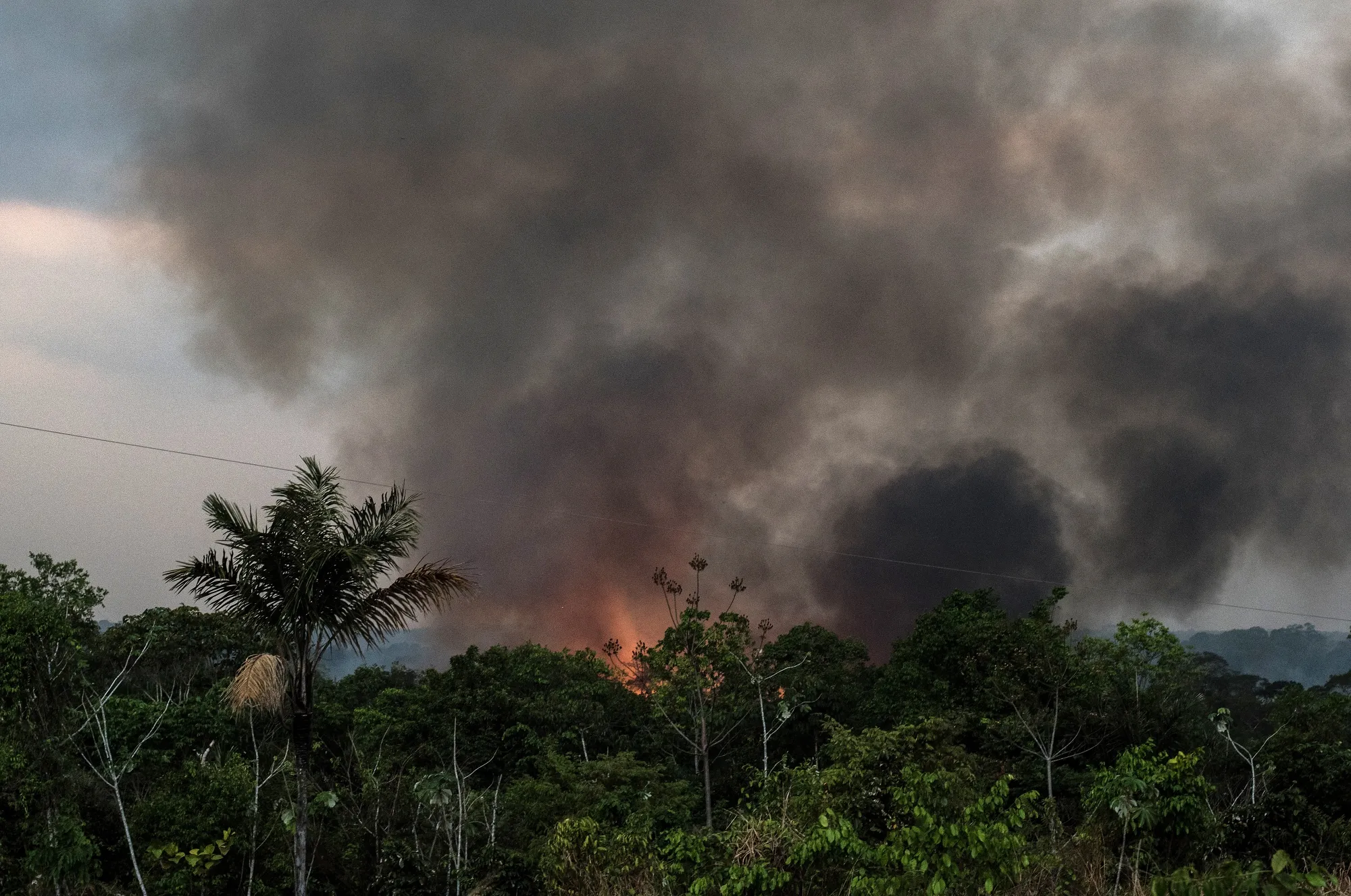 Smoke rises during a fire close to the Madeira River in the Amazon rainforest near Porto Velho in August.