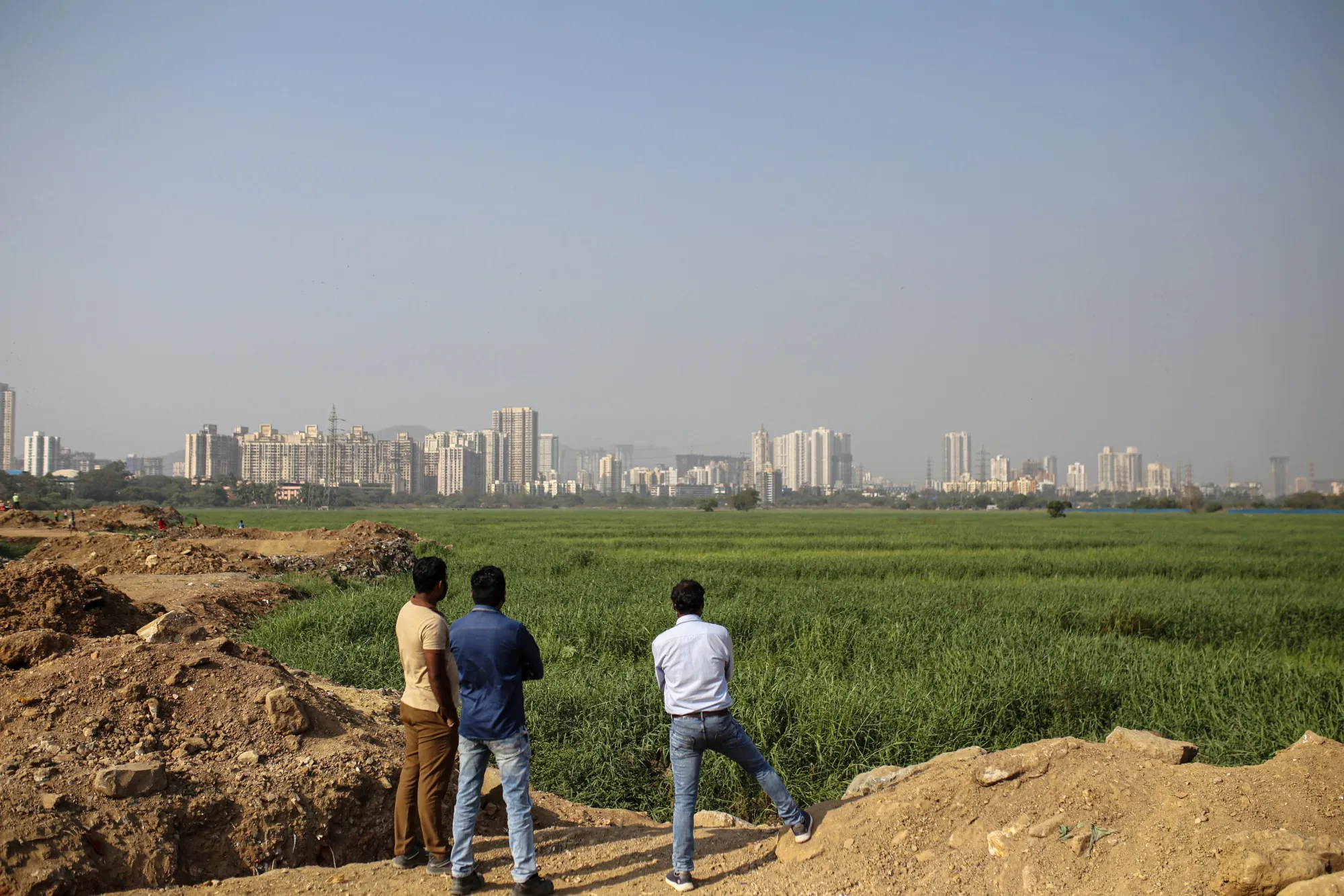 The disputed site for the Mumbai Metro Car Depot in Mumbai, on Jan. 25.