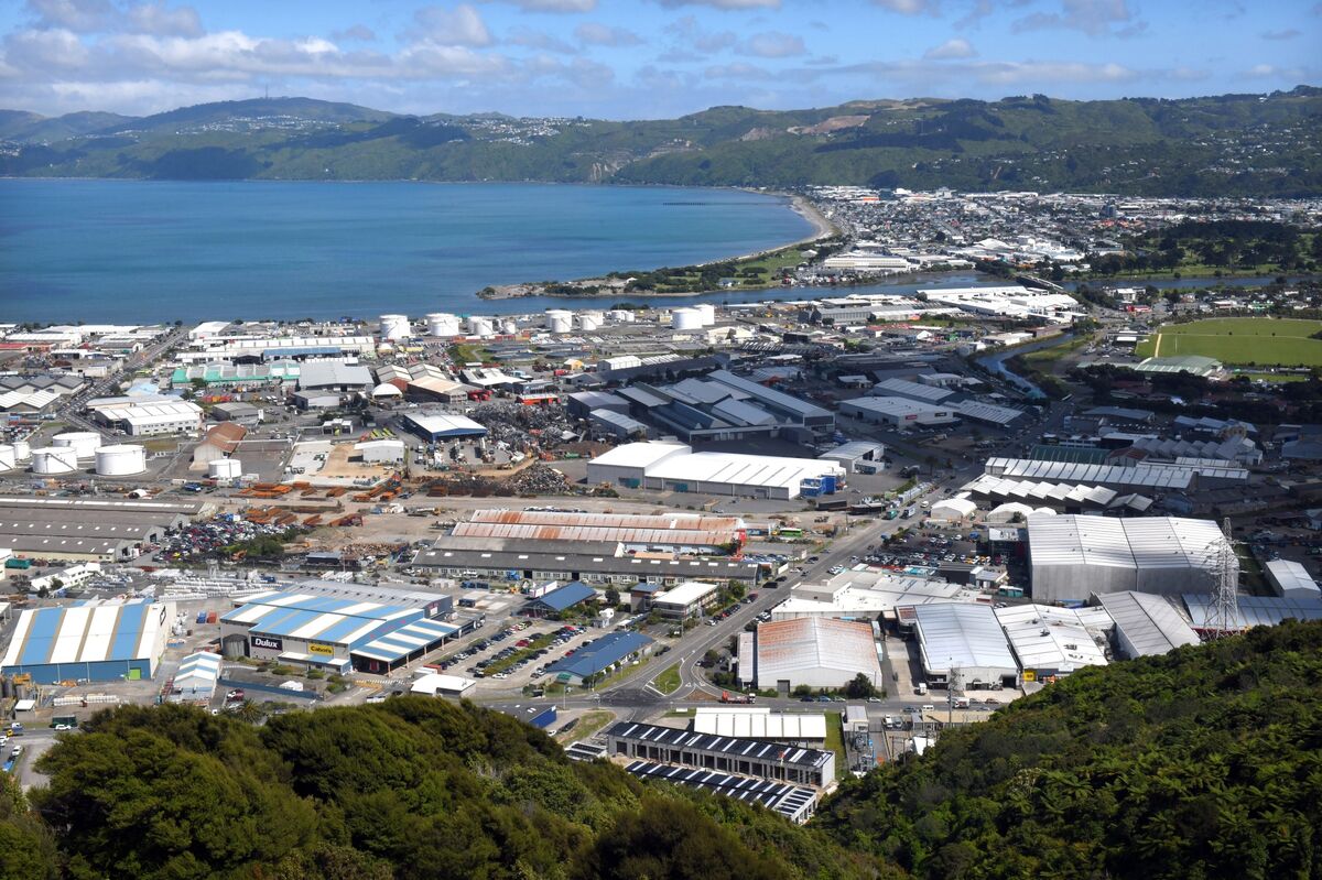 New Zealand Sees $2.9 Billion Cost to Use Carbon Credits for Climate Goal