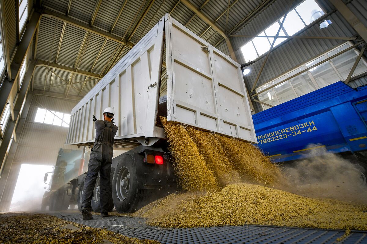 Russia will impose a 30% tariff on soybean exports, says Interfax