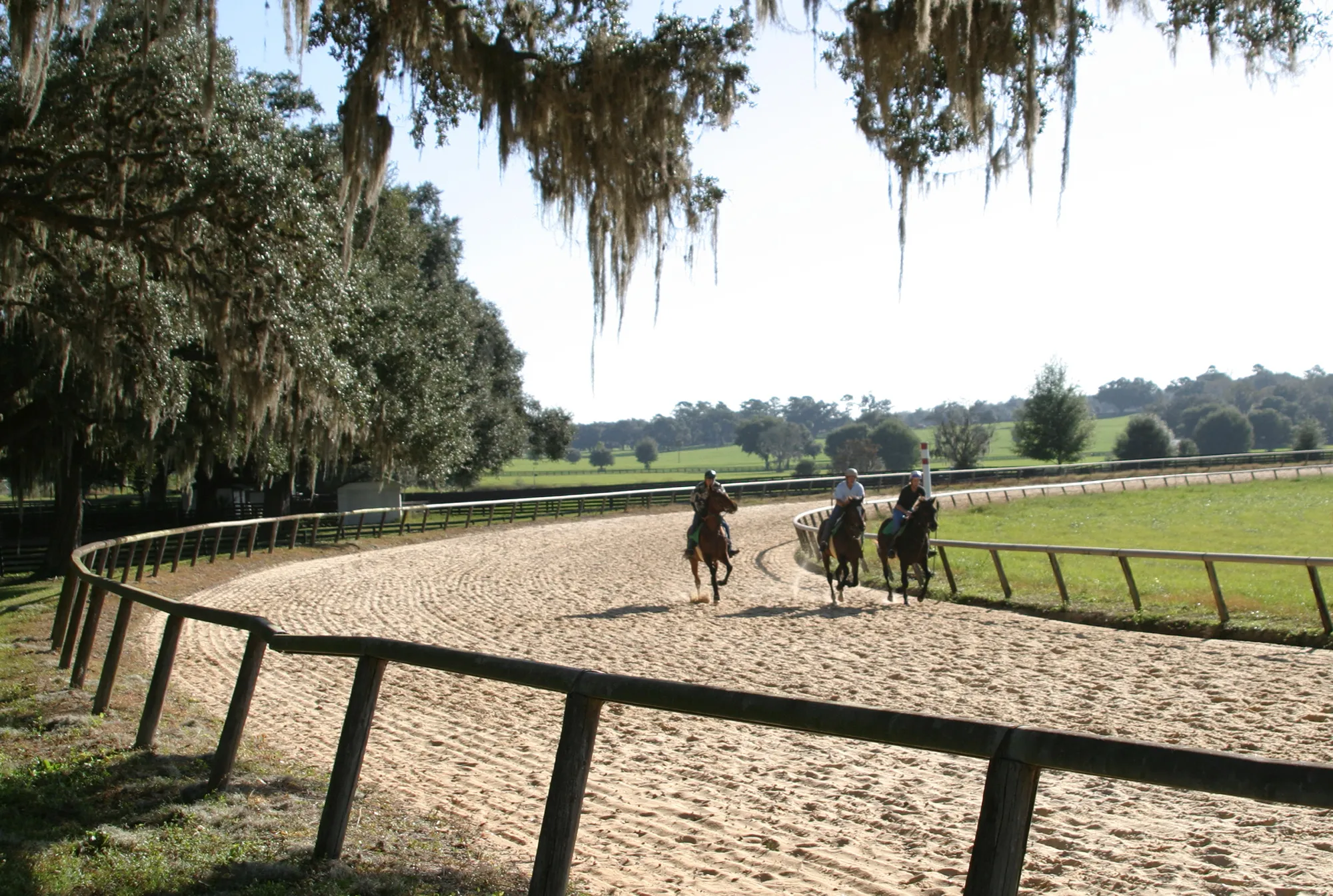 Horses train at a farm in Ocala, Florida.
