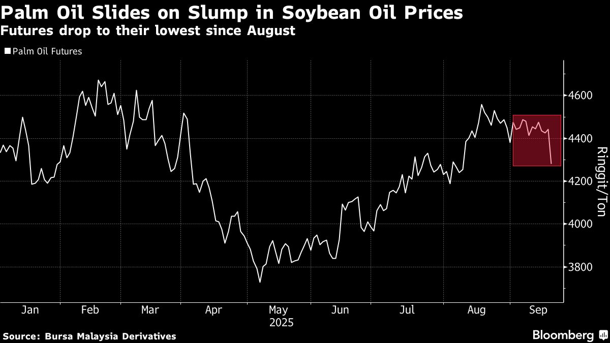 ⚫️ BLOOMBERG: "Calo record per l'olio di palma dopo l'abolizione dei dazi all'esportazione in Argentina"