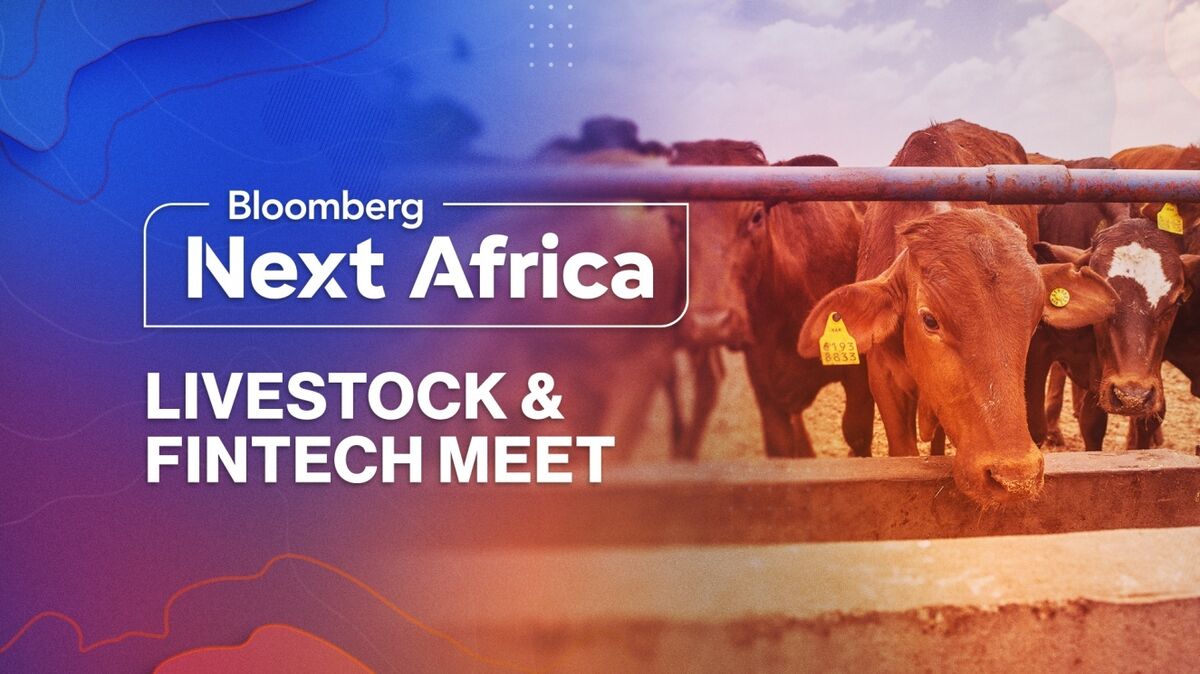 How a Real-Time Livestock Trading Platform Works How a Real-Time Livestock Trading Platform Works