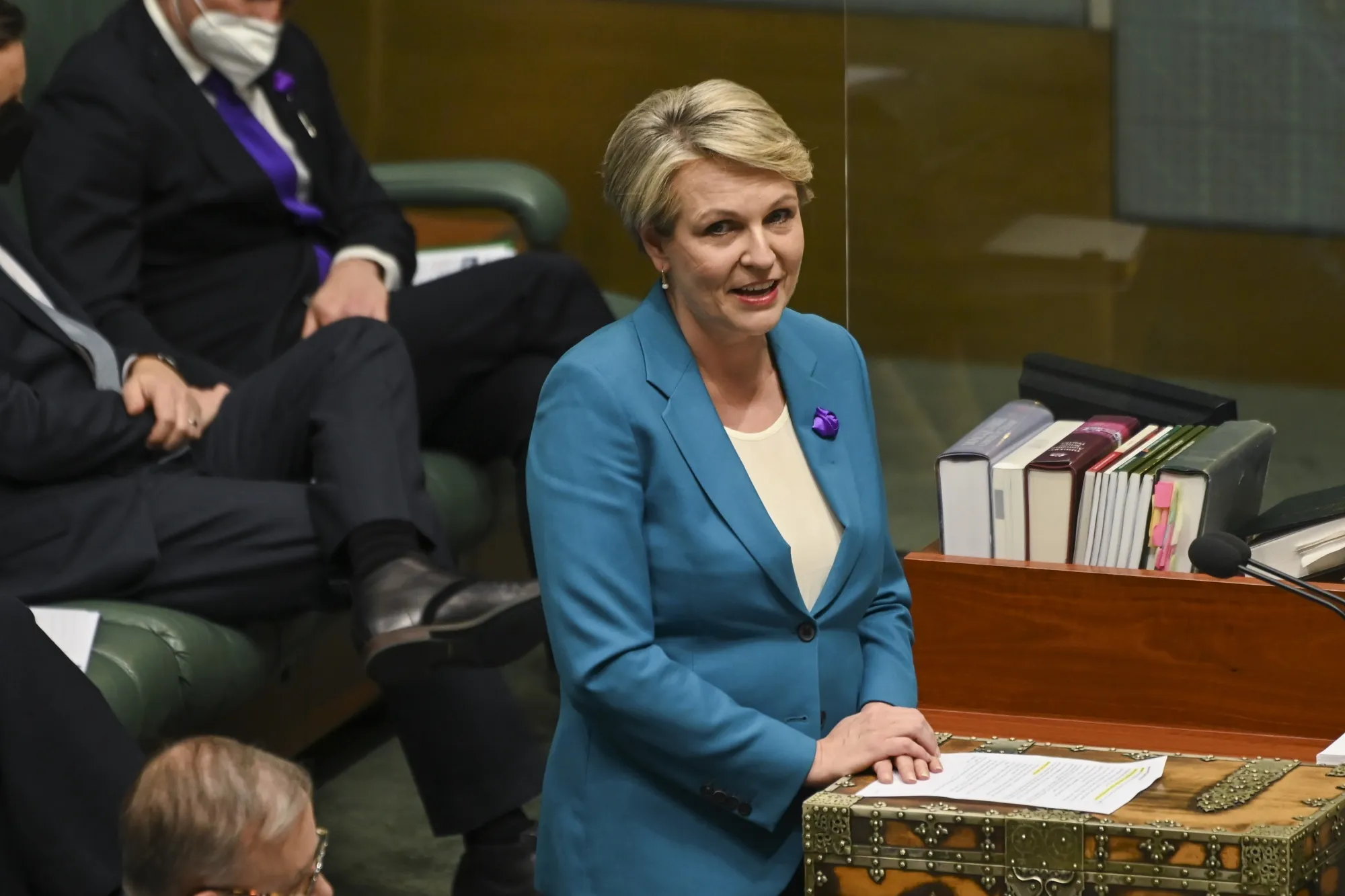 Tanya Plibersek
