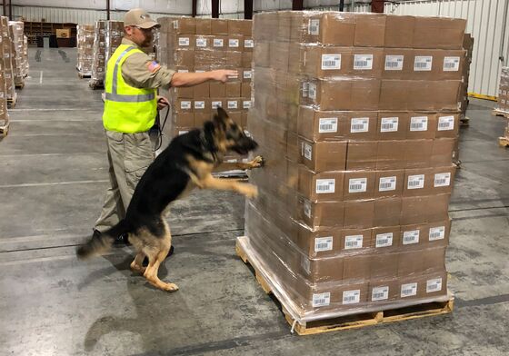 U.S. Airlines Need More Bomb-Sniffing Dogs in a Hurry