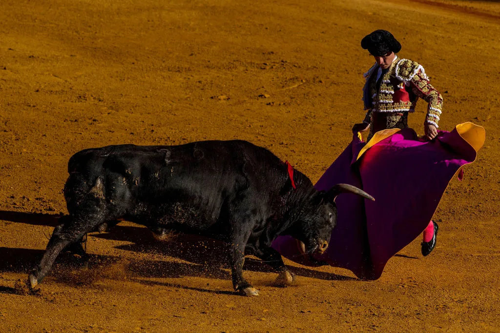 Charging ahead.
