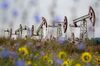 Russian Oil Pumping Jacks Ahead Of OPEC+
