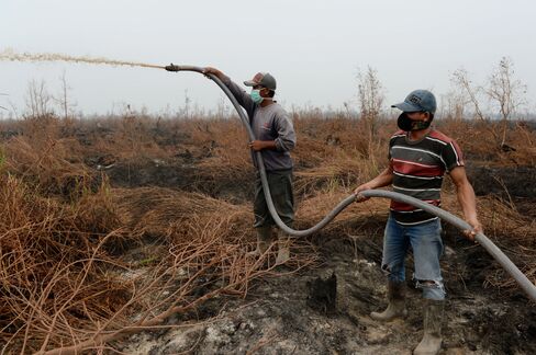 Villagers work to put out a forest fire in South Sumatra.