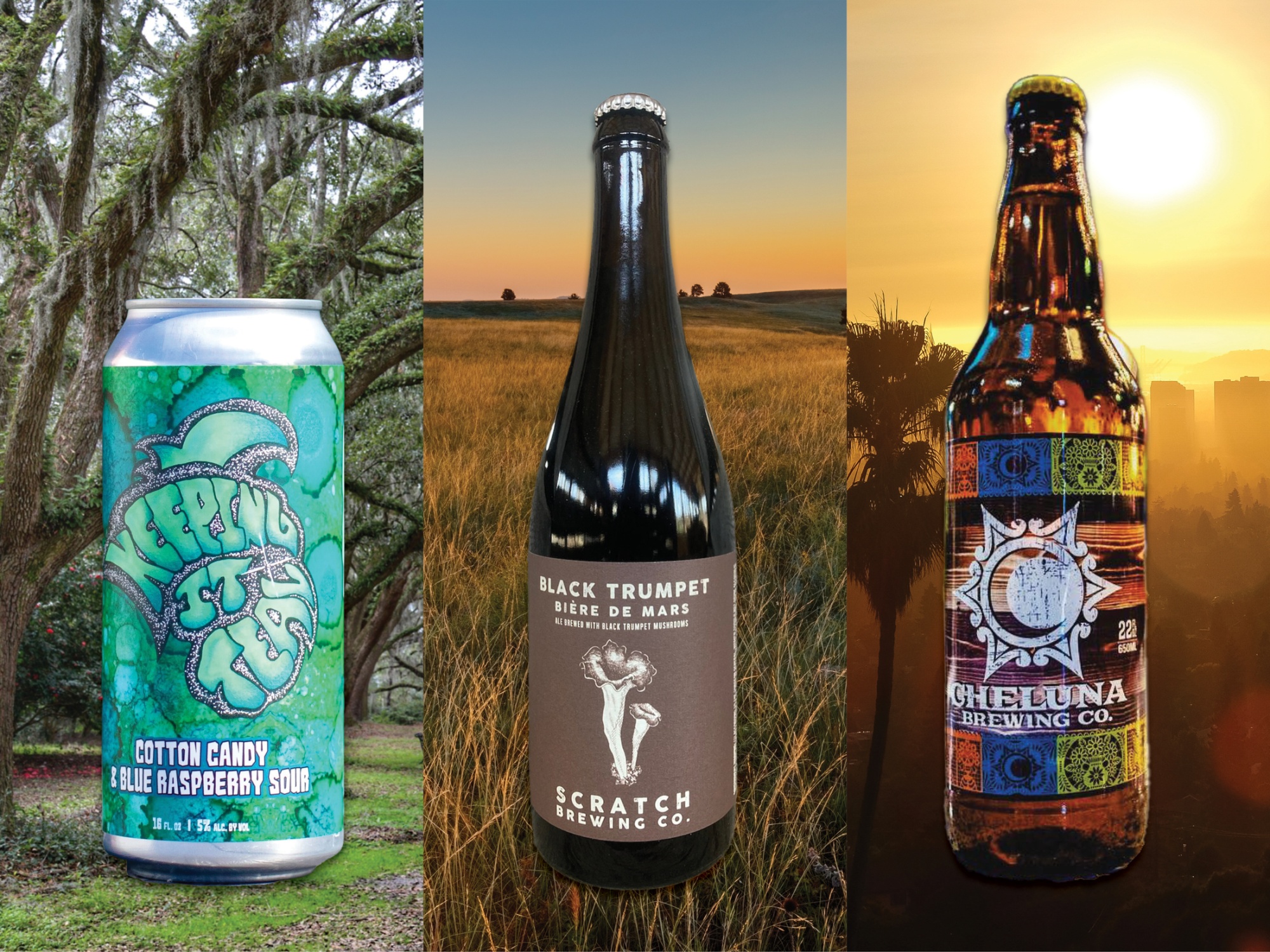 11 Best Beers Of 2023 Dark Lagers Sours IPAs Barrel Aged Vanilla 