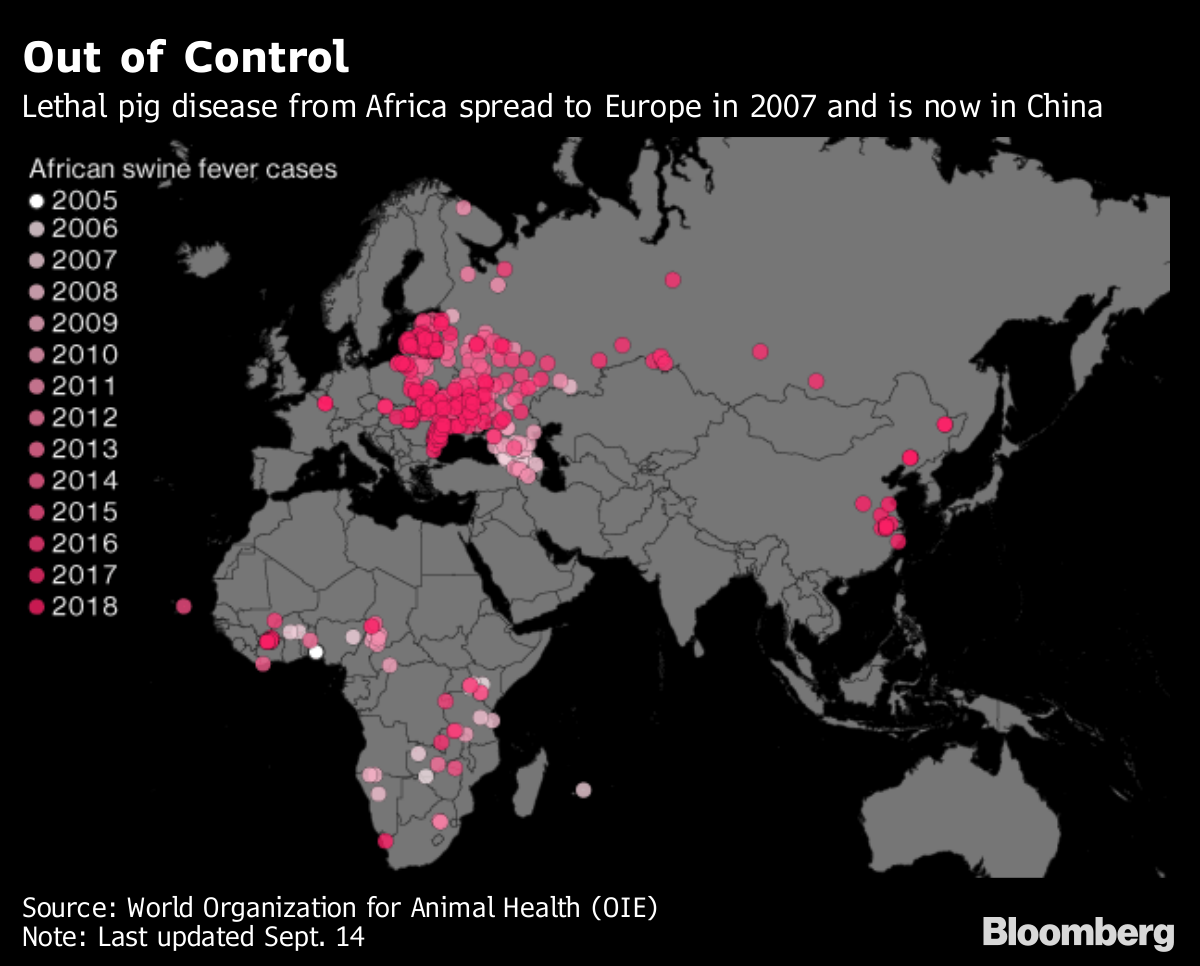 Swine Fever Mystery Threatens China's $128 Billion Pork Industry - Bloomberg1200 x 966