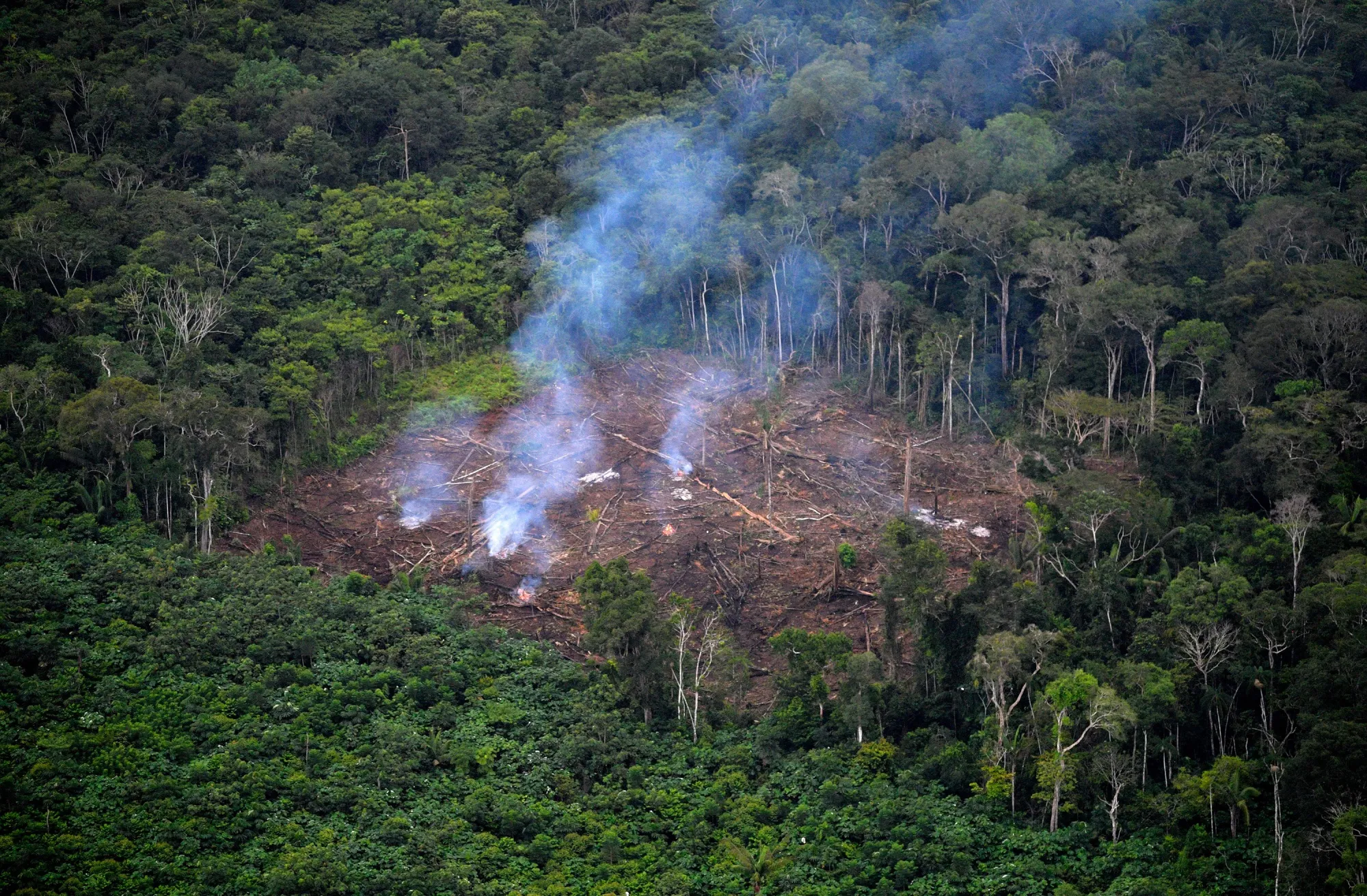 Johnson’s&nbsp;government pledged to be the vanguard of “green finance” and announced it will ban supermarkets from produce linked to illegal deforestation.