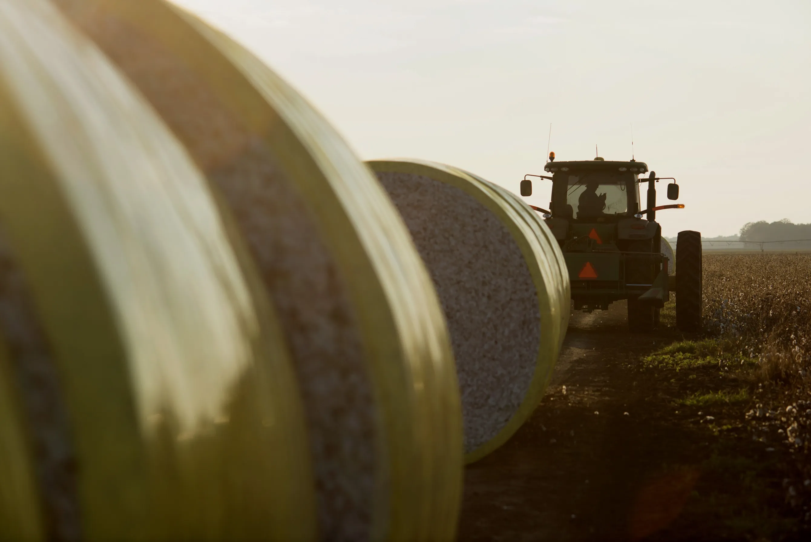 Operations During A Cotton Harvest As Drier Weather Aids Crops