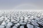 Drift ice in the Arctic Ocean.