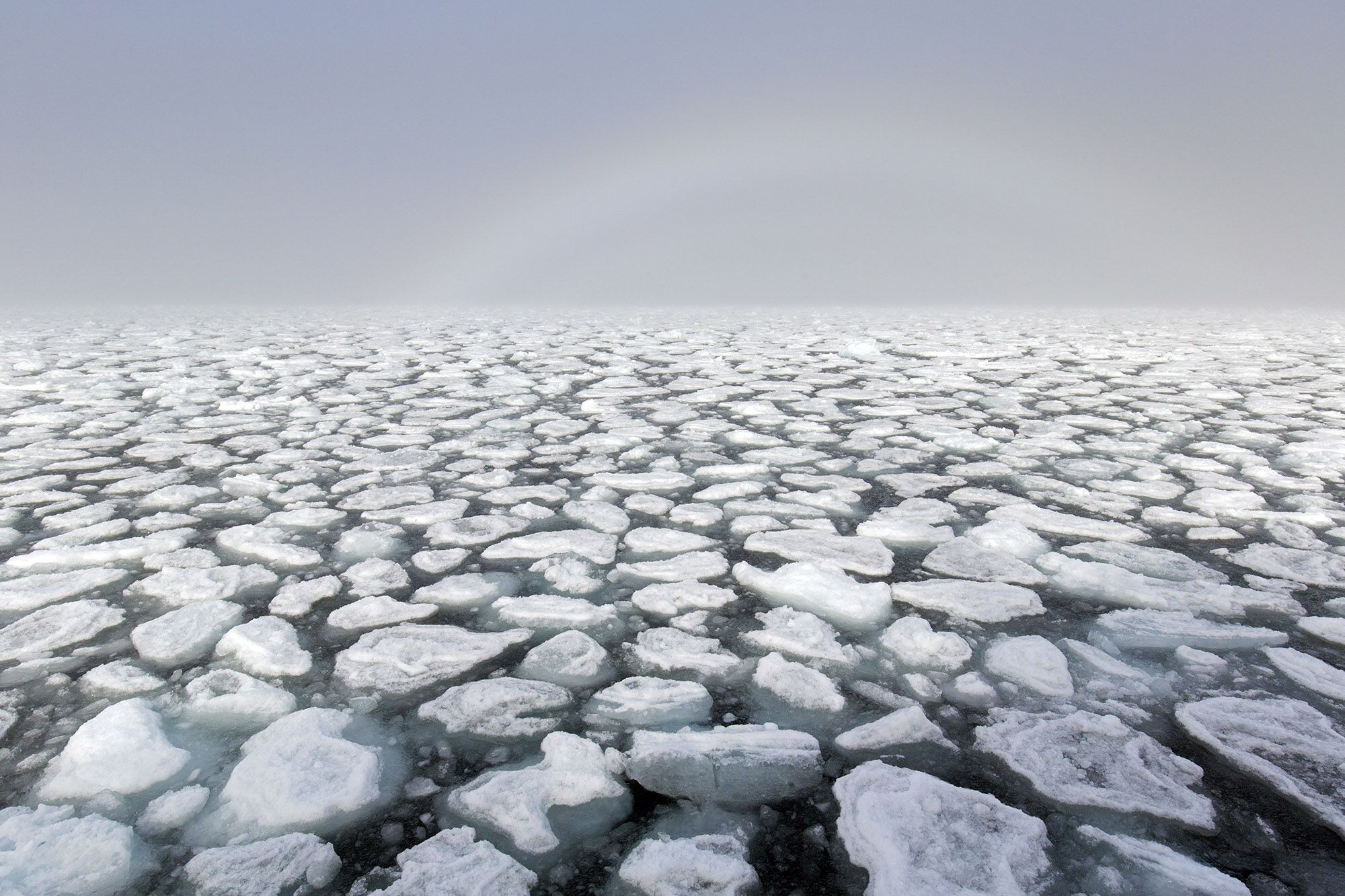 Потепление февраль 2024. Глобальное потепление в Нижнем Новгороде. Глобальное потепление Минимализм. Polar Ice caps. Global warming Melts Ice.