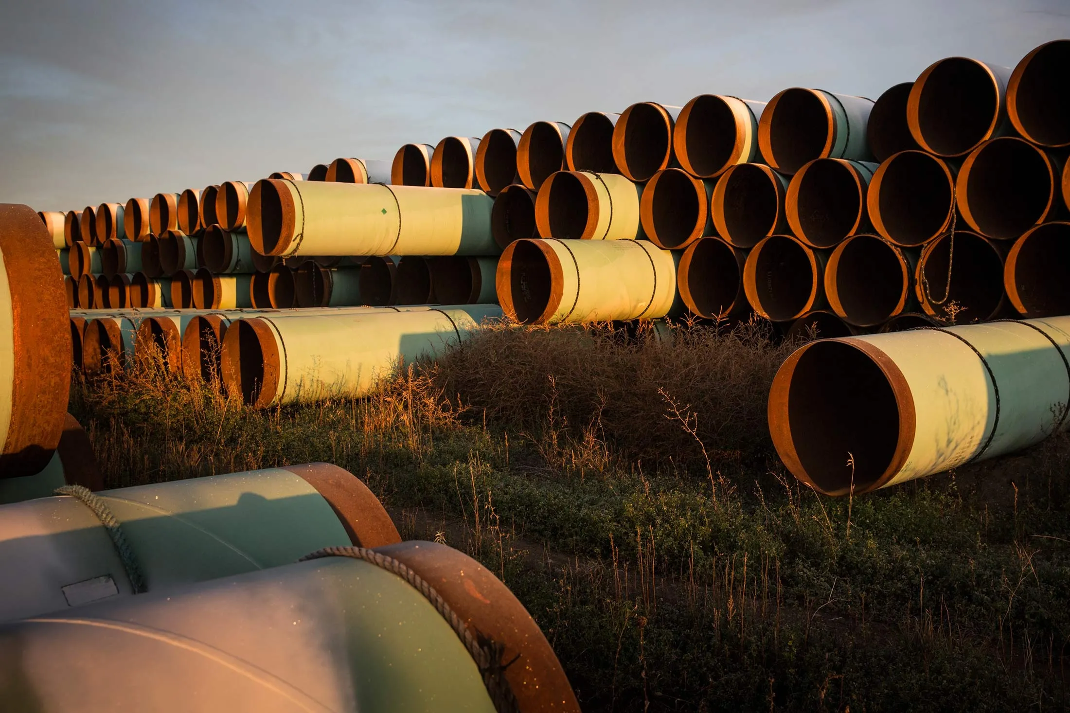 on October 14, 2014 in Gascoyne, North Dakota.
