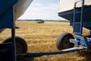 Operations During A Wheat Harvest As Crop Report Shifts 