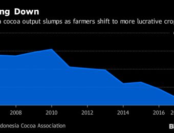 relates to Asia’s Biggest Cocoa Grower Has a Chocolate Problem. This Icy Treat May Be the Answer