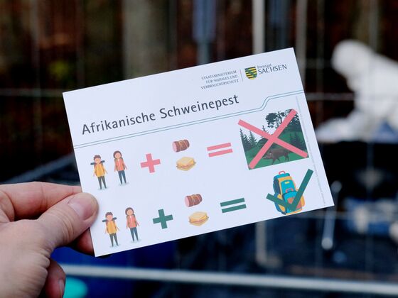 Germany Is Bracing for Swine Fever