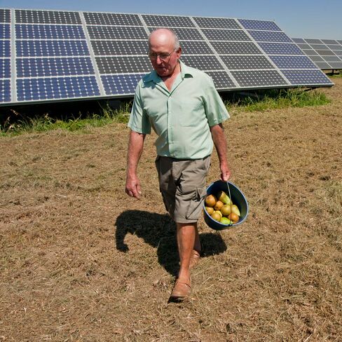 Jaume Vilimelis, a local farmer in Spain
