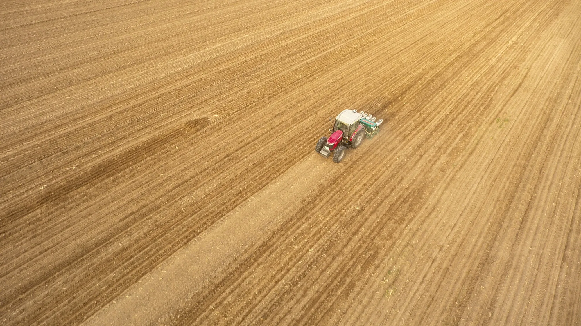A machine seeding corn and soybean at a field in Liaocheng, China.
