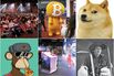 The Crypto Story
