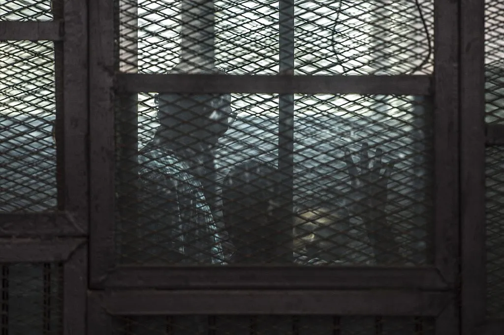 Mohamed Fahmy in the defendants' cage during his trial in Egypt.
