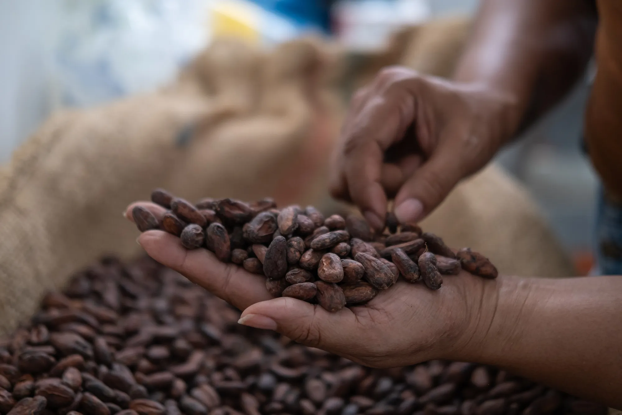 Cocoa futures have surged as poor harvests in West Africa have sparked a third year of&nbsp;shortages.&nbsp;