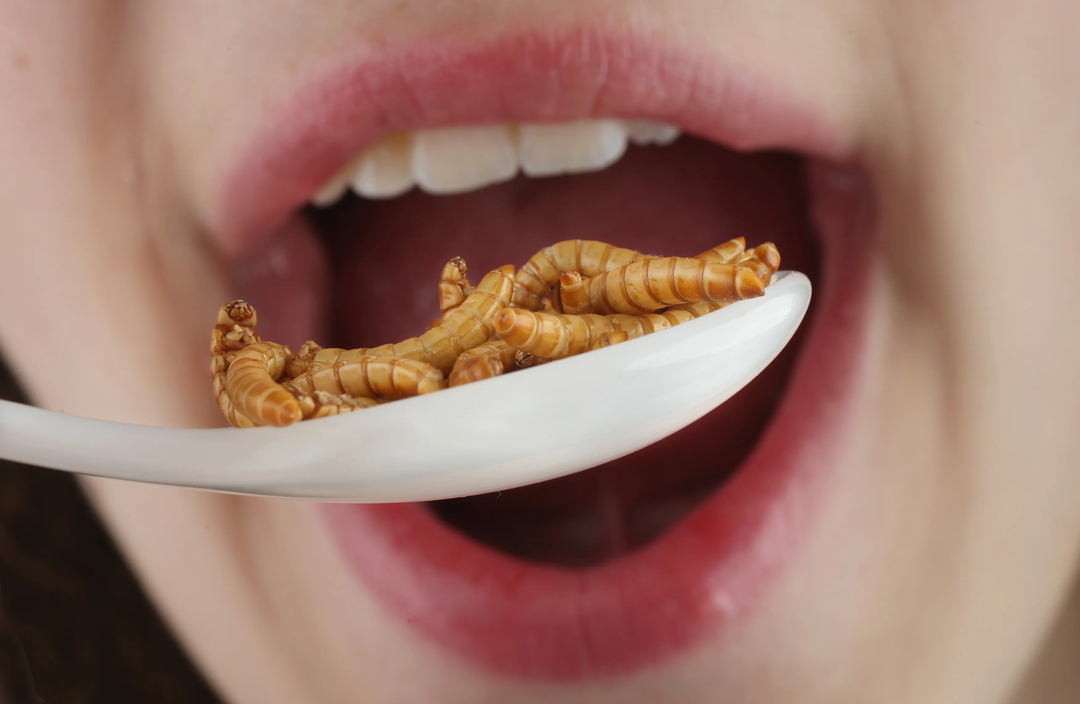 Yum!