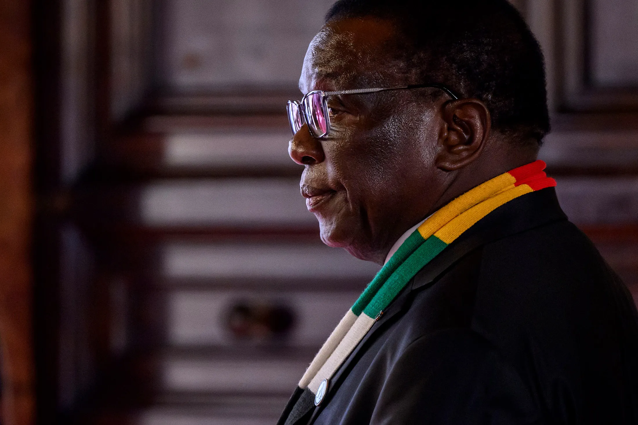 Emmerson&nbsp;Mnangagwa