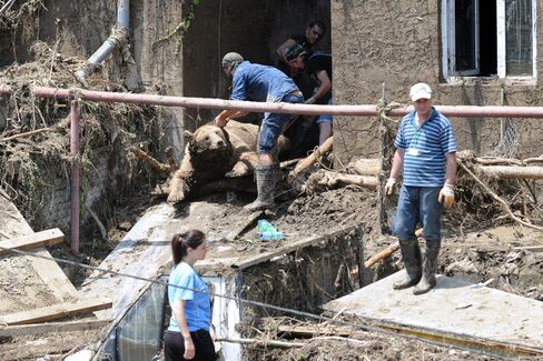 The Body of a Bear recovered