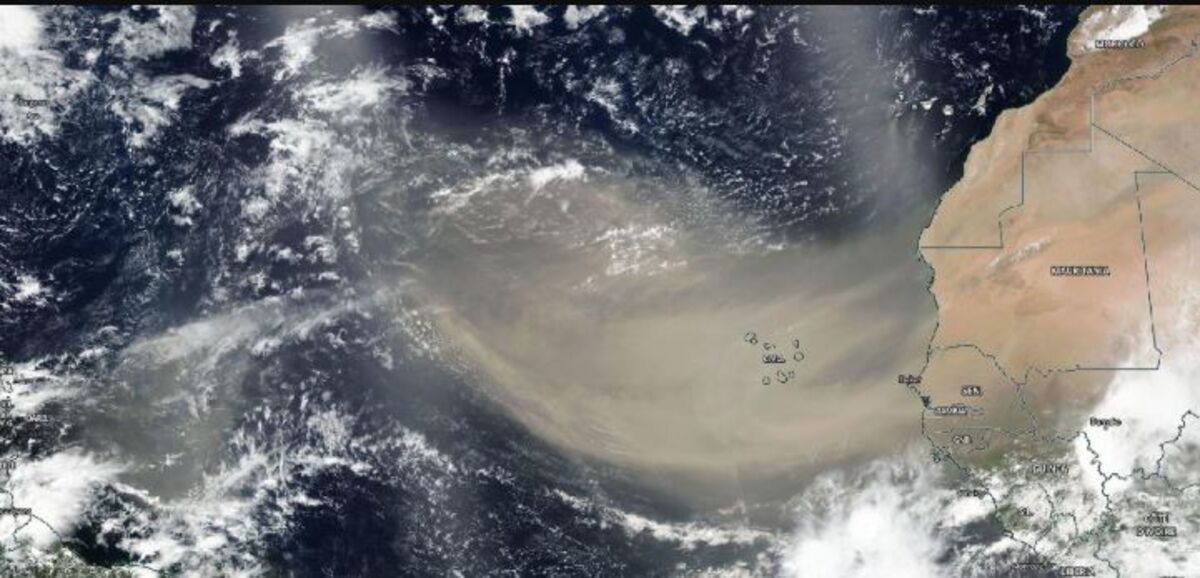 What Has Caused the Dust Storm in Florida, Gulf? Africa is Cause