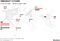 Skirmishes at the World Trade Organization Japanese