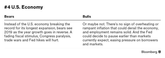 The Bulls Versus Bears Guide to the World Economy in 2019