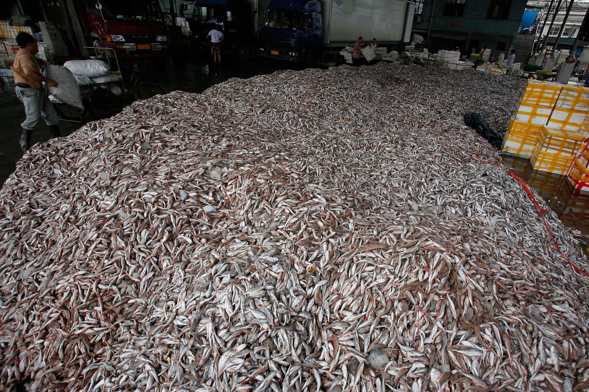 Saving the Ocean: US Push to Curb Rogue Fishing Needs China's Buy