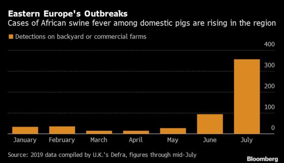 Swine Fever Is Spreading Further in Eastern Europe 