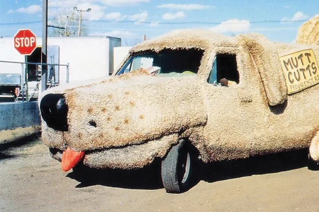 Dog Van Dumb And Dumber Mutts Cuts Mobile Dog Grooming Mutt Cutts