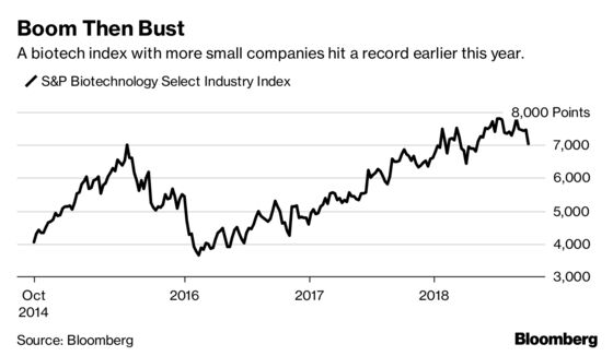 Investors Hunt for Biotech Winners as Wider Stock Market Churns