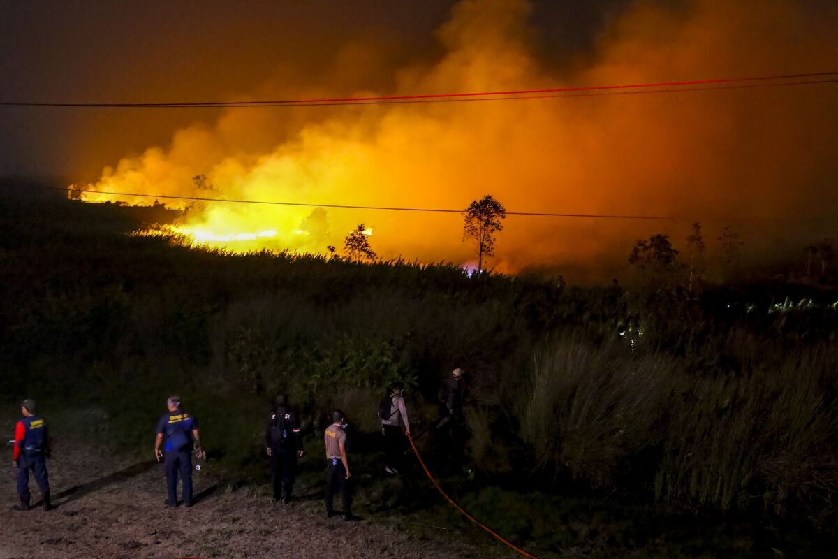 Indonesian Fires Drive Regional Haze Alerts and School Closures