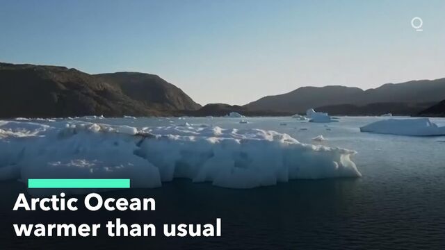 Arctic Ocean Warmer Than Usual