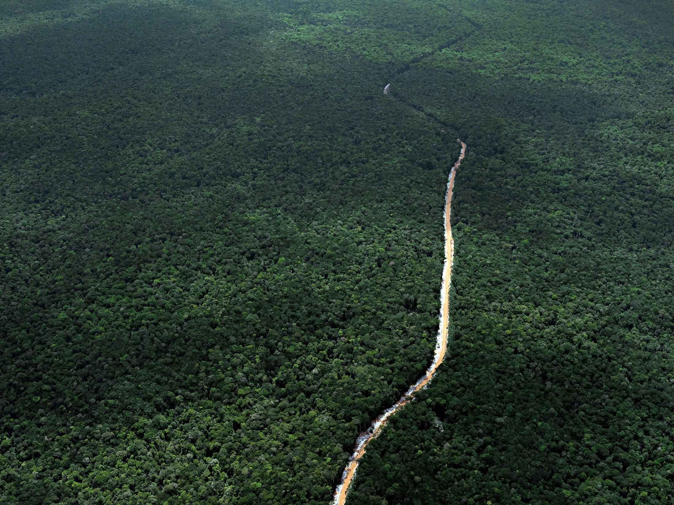 Guyana Is Making Money Off Rainforests Without Cutting Them Down Bloomberg