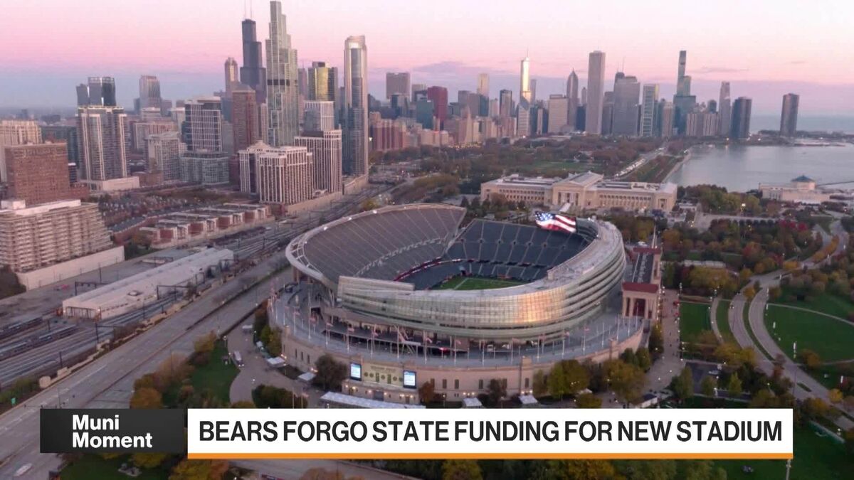 Bears Forgo State Funding For New Stadium