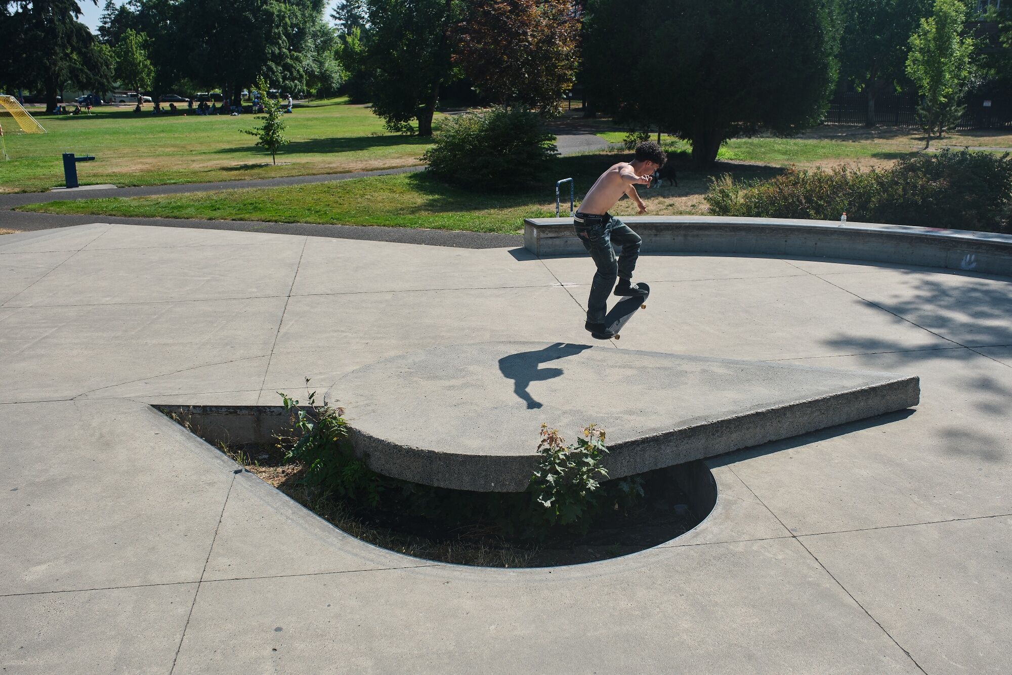 A skateboarder performs a trick on one of the biofiltration islands designed for natural onsite treatment of stormwater at the Ed Benedict Skate Plaza in Portland. 