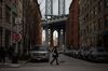 A pedestrian walks a dog along Front Street in New York.