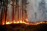 Fire burns in Karbole, Sweden, in July.&nbsp;&nbsp;Due to the dry weather, 80 wildfires burned in Sweden.