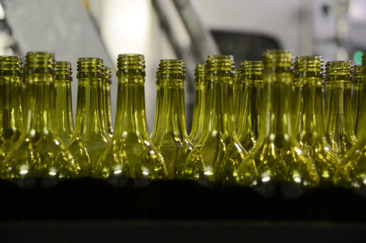 Harvesting, Processing And Bottling At A Treasury Wine Estates Facility