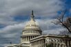 Six Congressional Committees to Watch in 2019