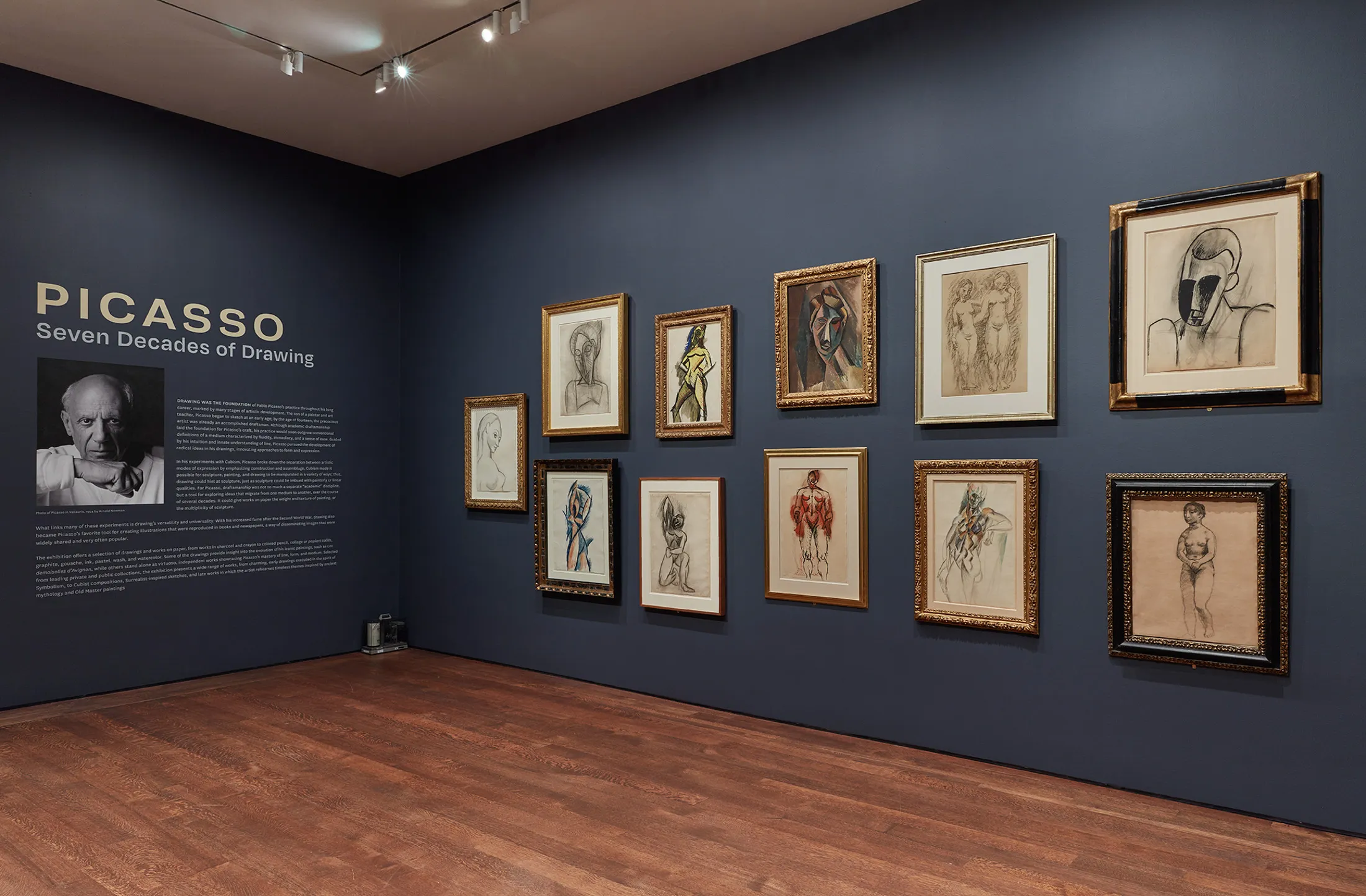 Picasso: Seven Decades of Drawing&nbsp;is at Acquavella Galleries&nbsp;through Dec.&nbsp;3.