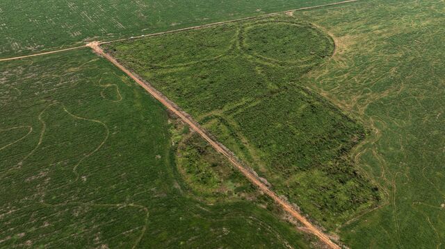 Geoglifos danificados em meio a campos de cultivo vistos de cima na fazenda Crichá.