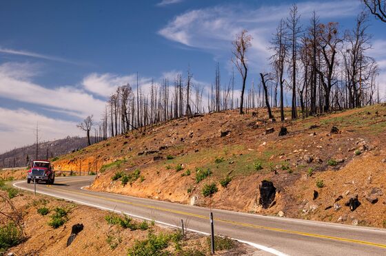 ‘Forever War’ With Fire Has California Battling Forests Instead
