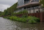 Part of the Wild Mile in the North Branch Canal.